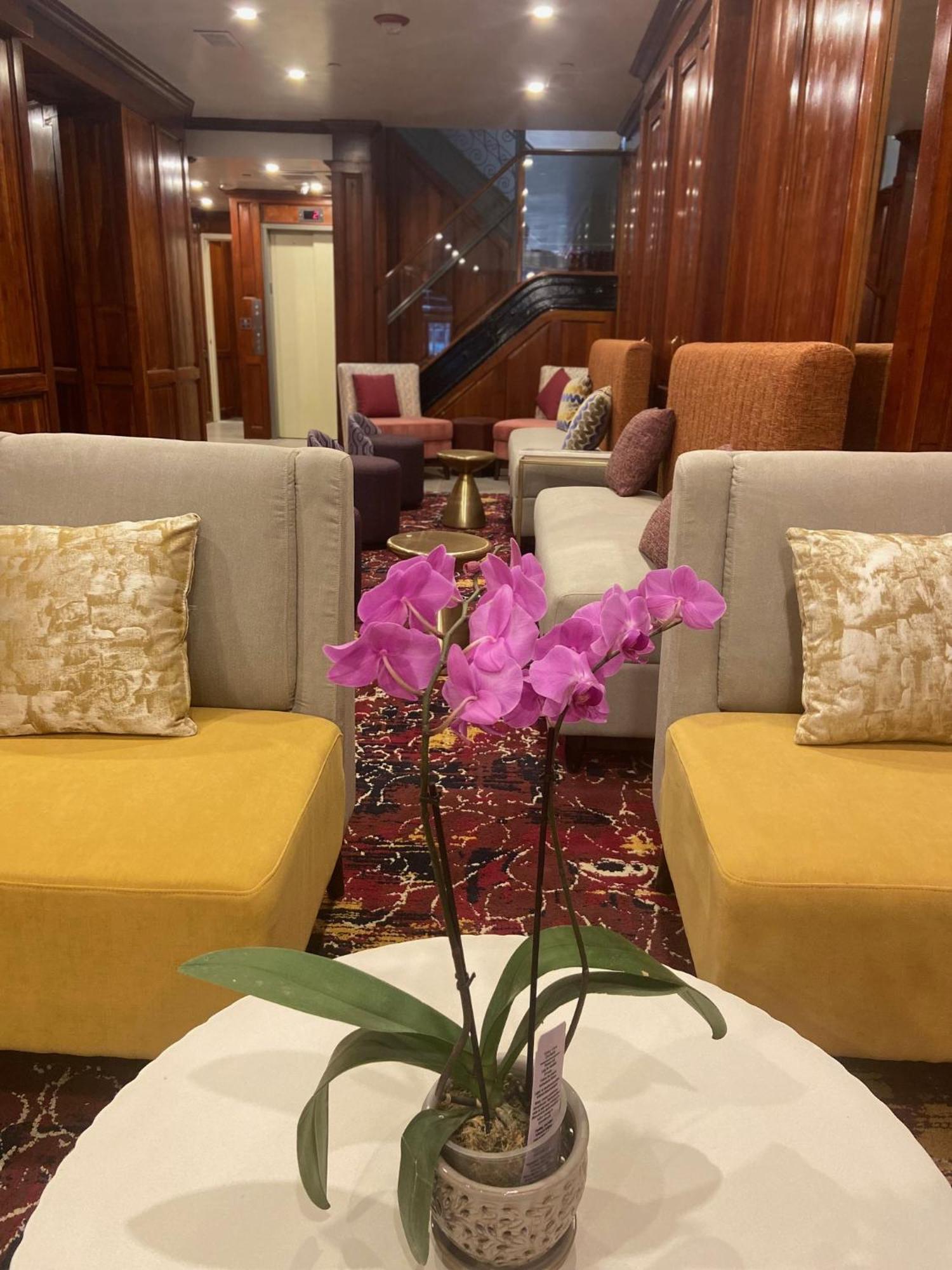 The Mayfair Hotel Times Square, Ascend Hotel Collection Ню Йорк Екстериор снимка